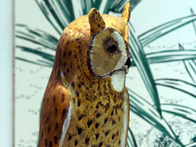 Фото Réunion owl