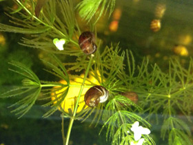 Фото Катушки