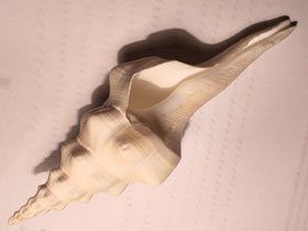 Фото Wavy Spindle