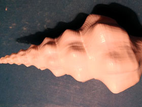 Фото Wavy Spindle