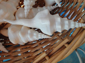 Фото Wavy Spindle