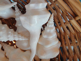 Фото Wavy Spindle