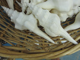 Фото Wavy Spindle